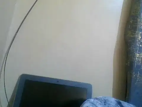 valley_pixy webcam