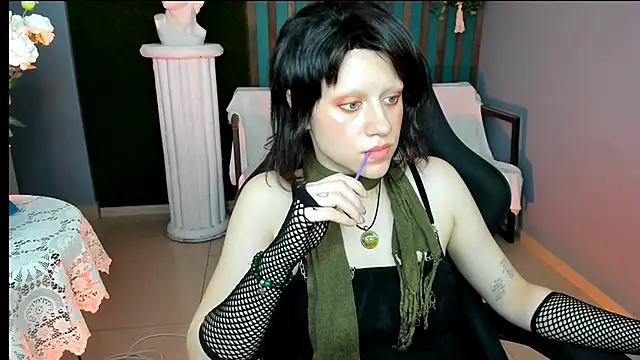 LidaDarknet webcam