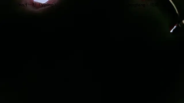 CCTW-100 webcam