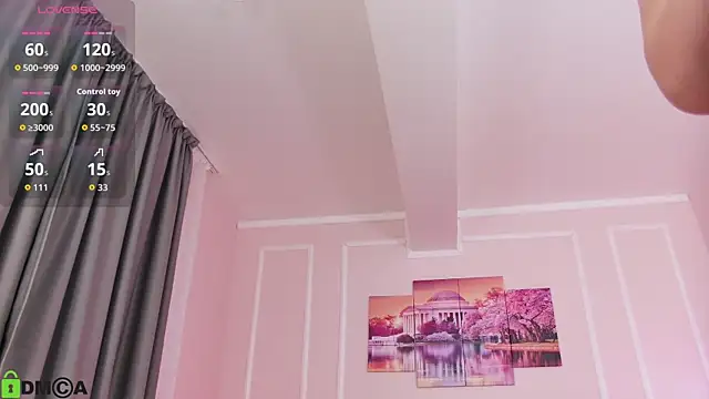 MayaSpringX webcam