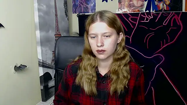 StellaCRL webcam
