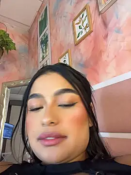 EvasBlazeXXX webcam
