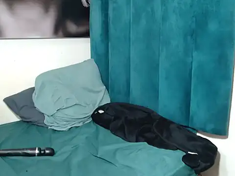 Theecougar webcam