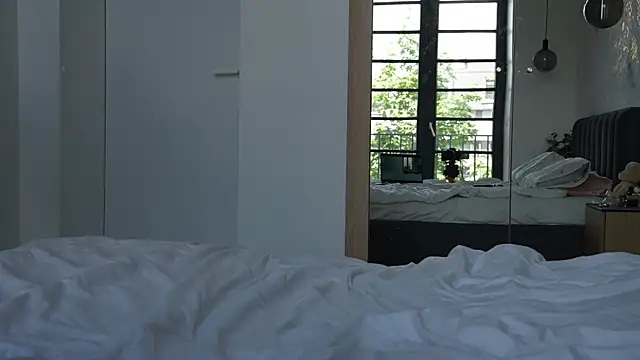 ibiddi webcam
