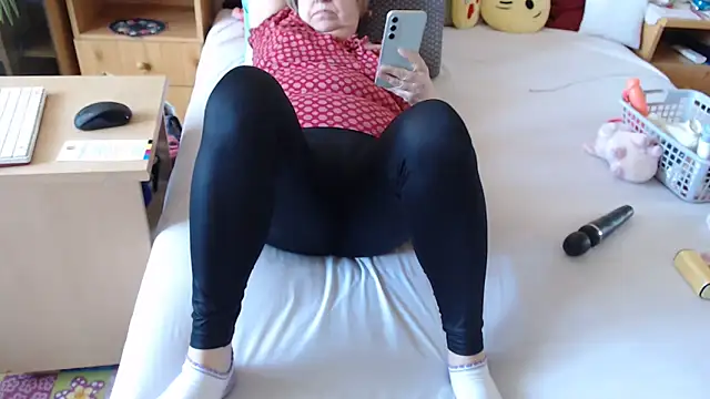 Dorina webcam