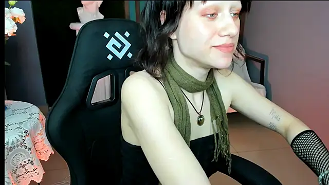 LidaDarknet webcam