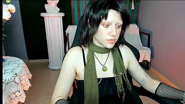 LidaDarknet webcam