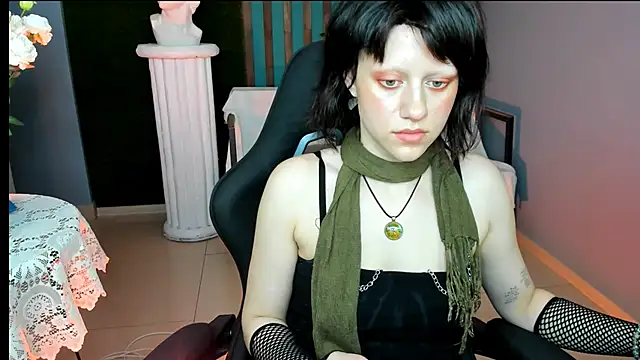 LidaDarknet webcam