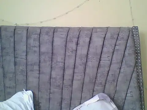 Dizzydose webcam