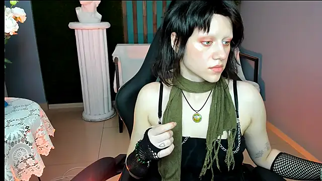 LidaDarknet webcam