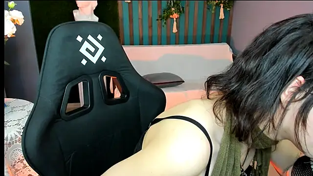 LidaDarknet webcam