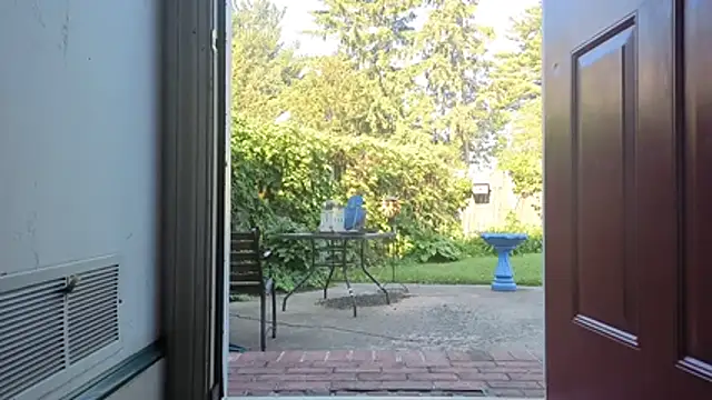 CDforU webcam