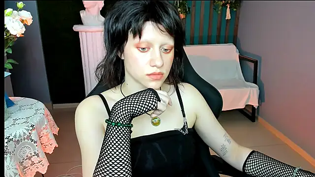 LidaDarknet webcam