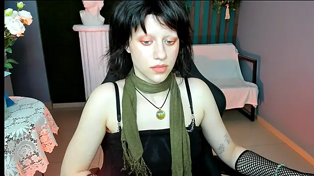 LidaDarknet webcam
