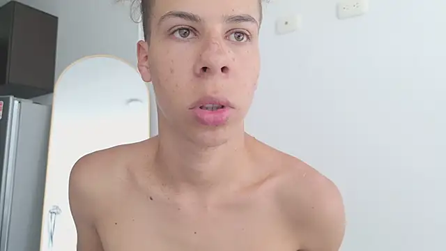 grey___27 webcam