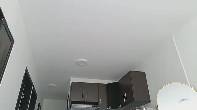 grey___27 webcam