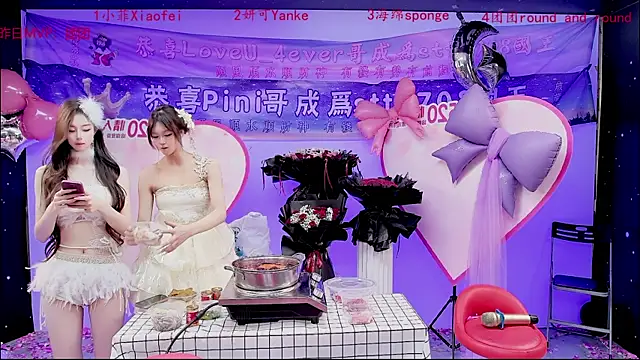 stt0708 webcam