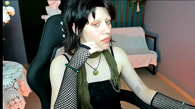 LidaDarknet webcam