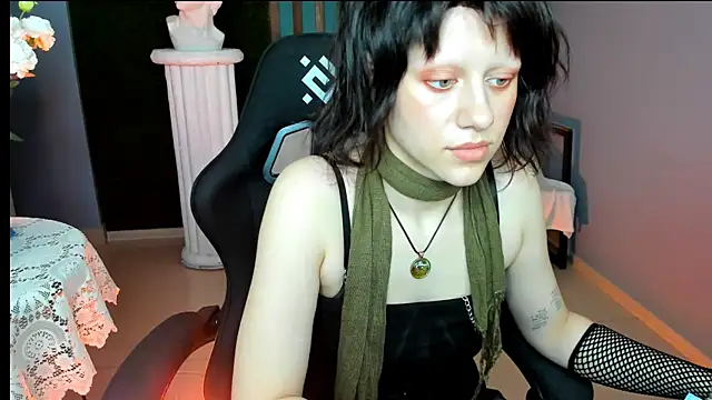 LidaDarknet webcam