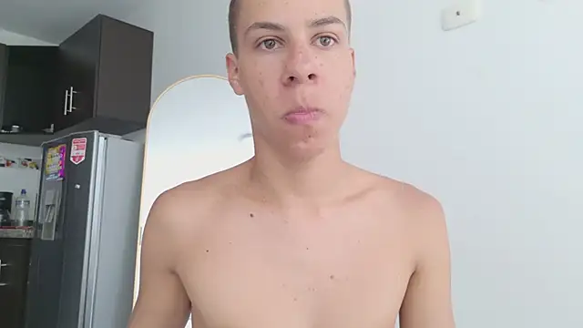 grey___27 webcam