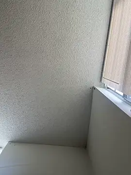 quartzvital webcam