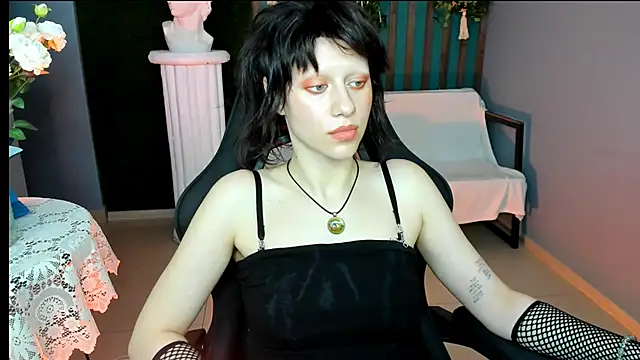 LidaDarknet webcam