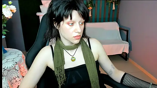 LidaDarknet webcam