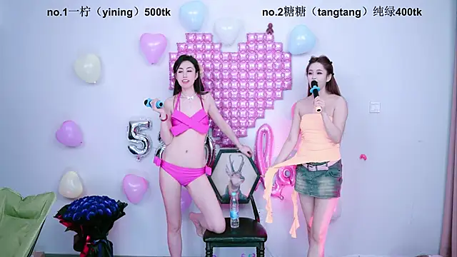 CCTW-100 webcam