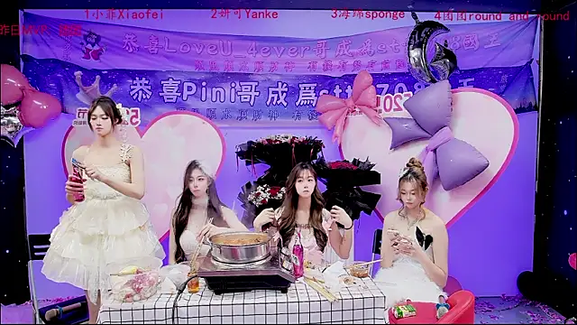 stt0708 webcam