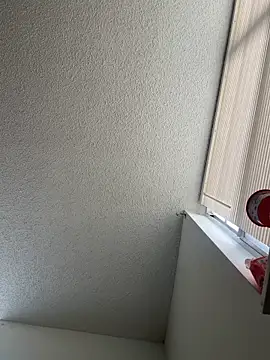 quartzvital webcam