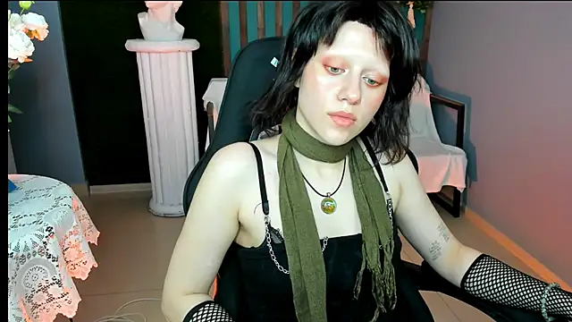 LidaDarknet webcam