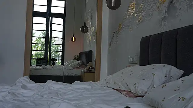ibiddi webcam