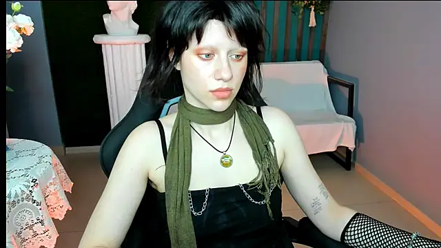 LidaDarknet webcam