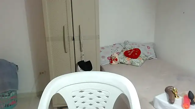 Agatha_browser webcam