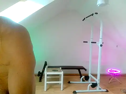 NinjaLaser webcam