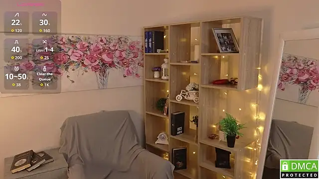 Sue_Sanders webcam