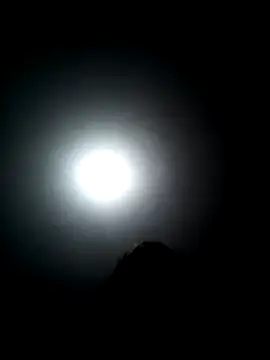 wbrankinha webcam