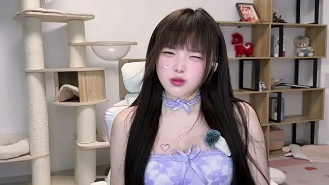 SakuraCat6 webcam