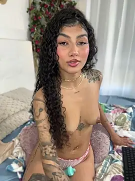 brizzmotion webcam
