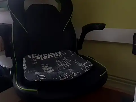 feathersify webcam