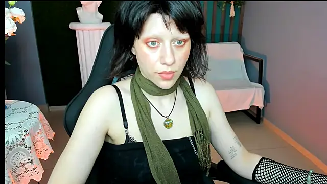 LidaDarknet webcam