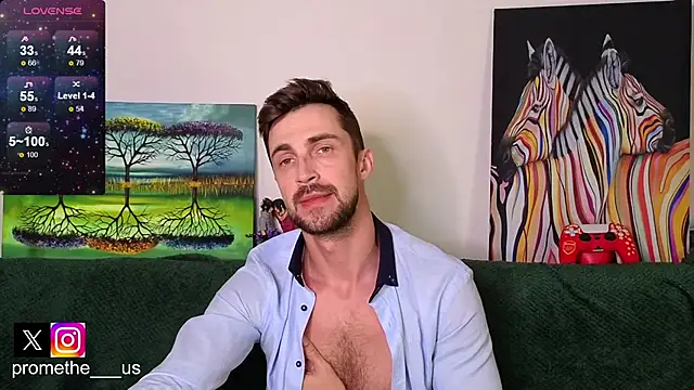 Promethe_us webcam