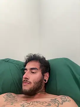 quartzvital webcam