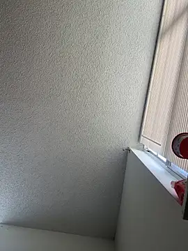 quartzvital webcam