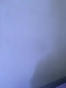 Hanna_Becker_ webcam