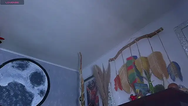 the_dog_lian webcam