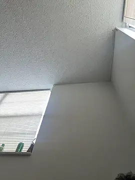 quartzvital webcam