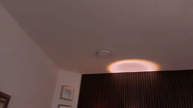 paulys_ webcam
