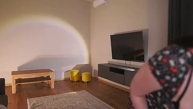 AdaBell webcam
