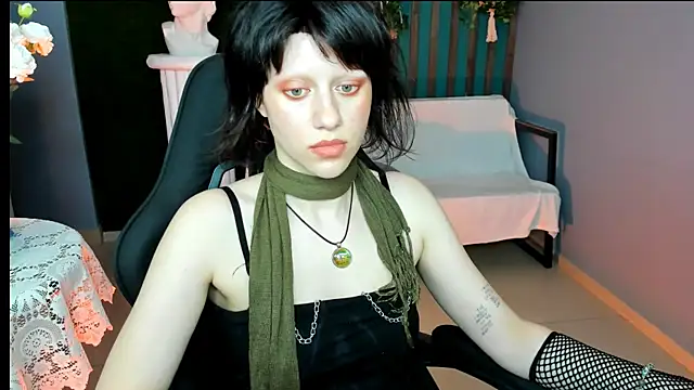 LidaDarknet webcam